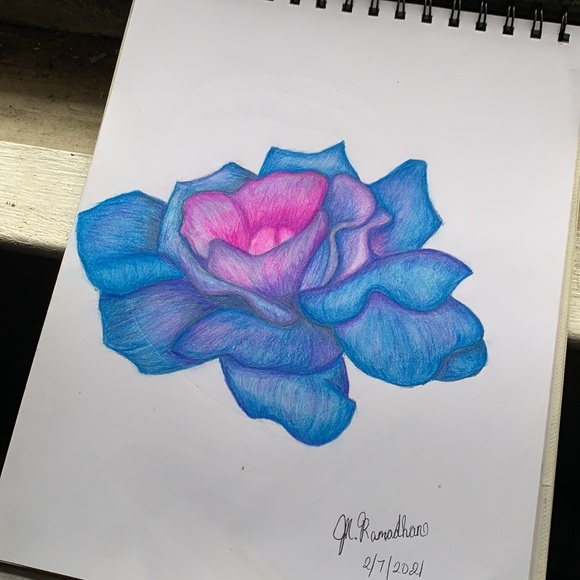 Multicolored Flower Pencil Drawing "Original" - Picture 3 of 3
